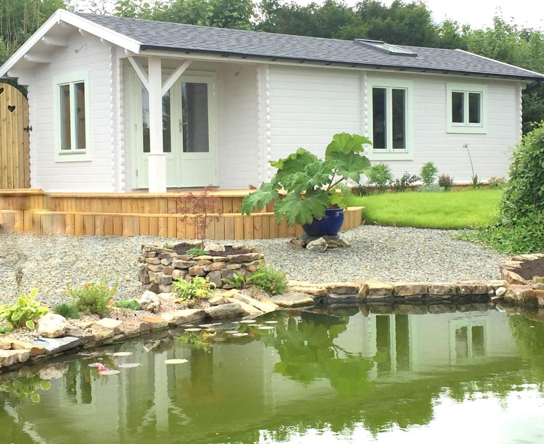 Sunset Hideaway Villa Narberth Exterior photo